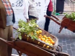 Fete de l' Oranger Vallauris Mai 2015