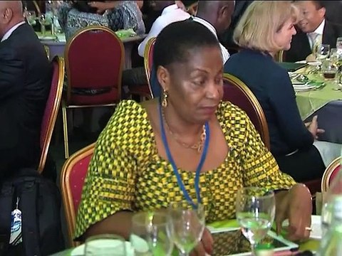 Participation du Président aux Assemblées Annuelles de la BAD à Abidjan - 2/2