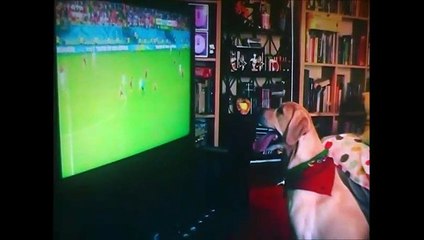 QUIERO VERLO EN EL MUNDIAL