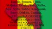 OPPOSTION DE LA GUINEE CONAKRY - Cellou Dalein Diallo, Sidya Toure et Alpha Conde temoignent sur RFI