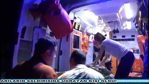 ARILARIN SALDIRISINA UĞRAYAN KİŞİ ÖLDÜ