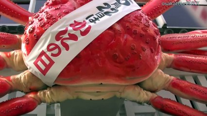 Monster Biggest Crab Robot in Osaka Japan  かに道楽 大阪　道頓堀 巨大蟹　【FullHD】　半沢直樹ロケ地