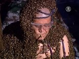 Китаец разместил на своем теле более миллиона пчёл