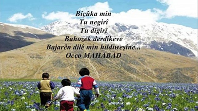 Xalê Ehmed-Yar Gewrê...