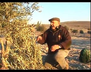 Caza de Perdiz Roja con Reclamo