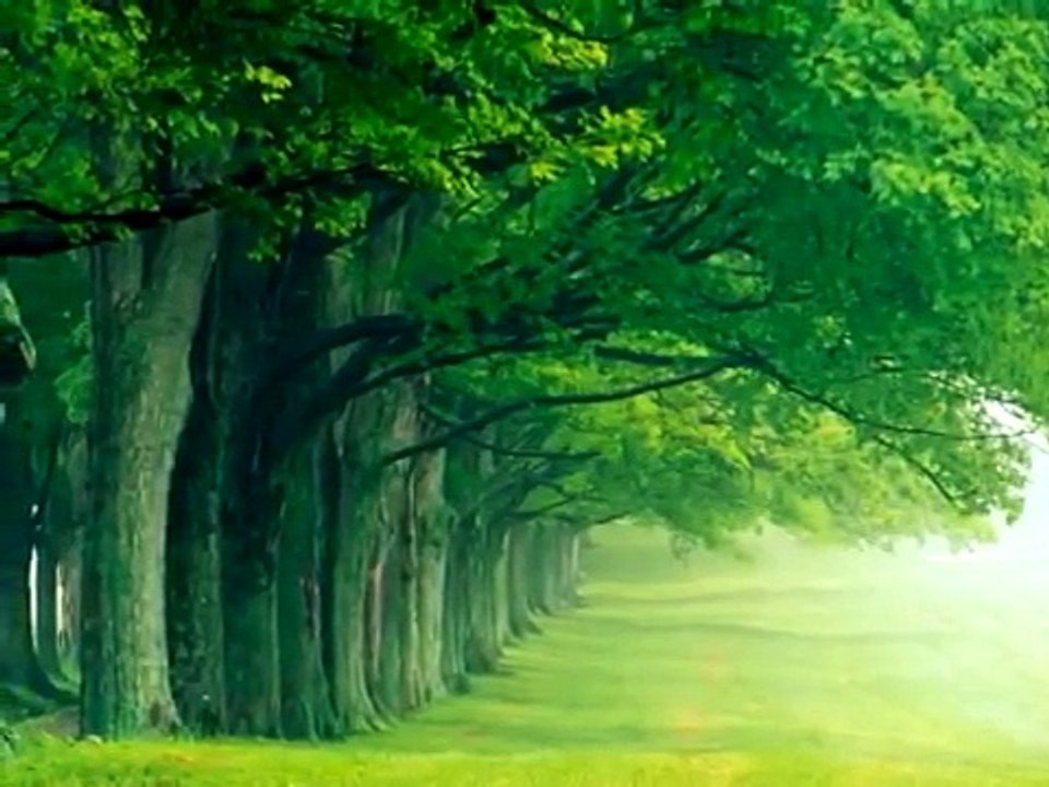 Tsy miangatra ny Avo - Tanora Masina Itaosy