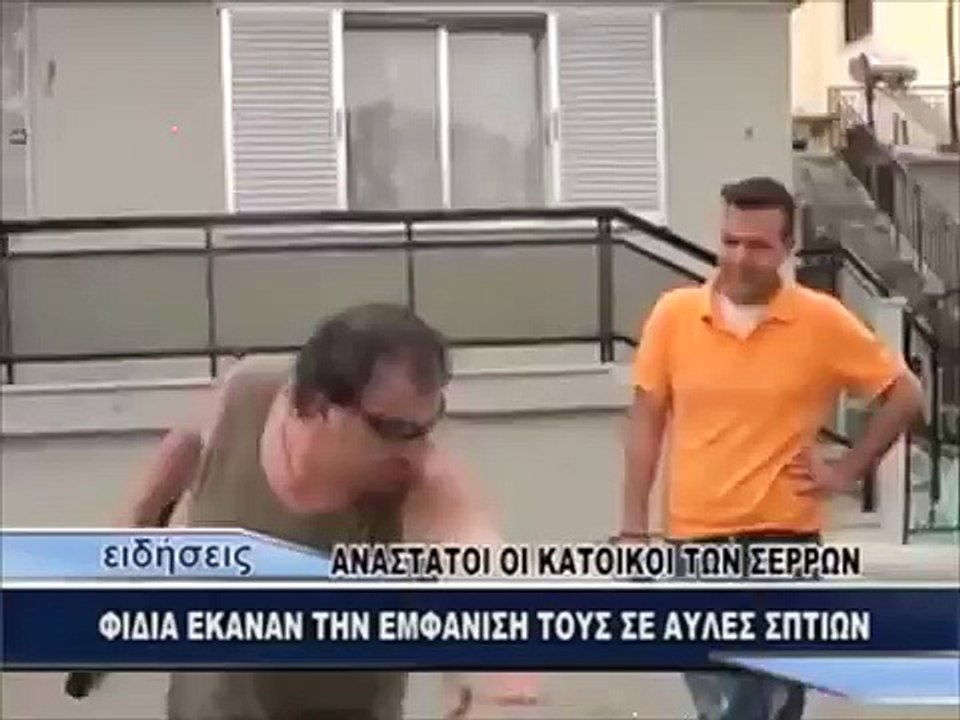 Ο ΦΙΔΟΚΤΟΝΟΣ