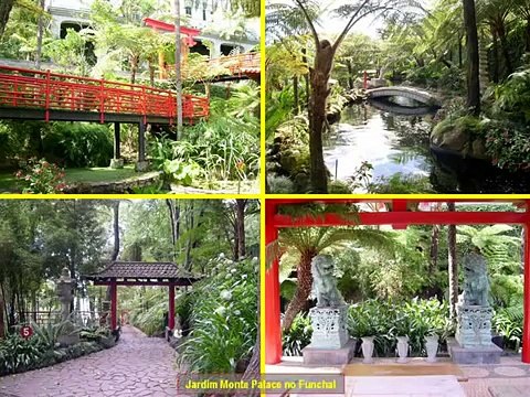 ILHA da MADEIRA - PORTUGAL (Madeira Island)