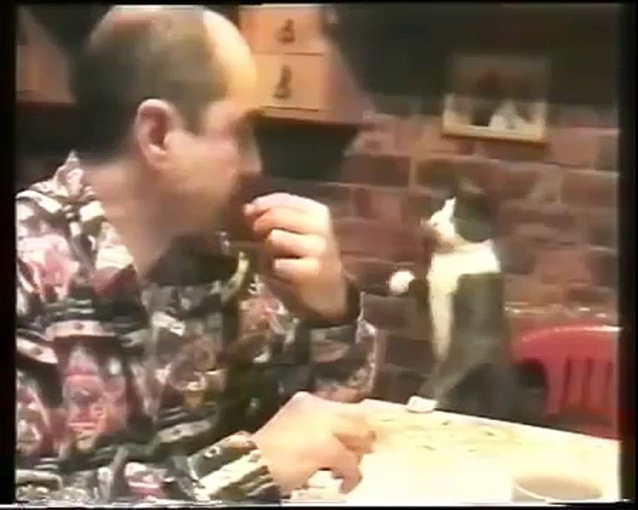 Ce chat utilise le langage des signes pour communiquer avec son maitre sourd