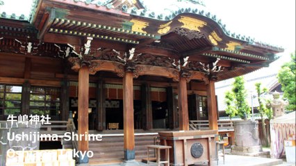 牛嶋神社 押上 东京 / Ushijima Shrine Oshiage Tokyo / 신사 밀 도쿄