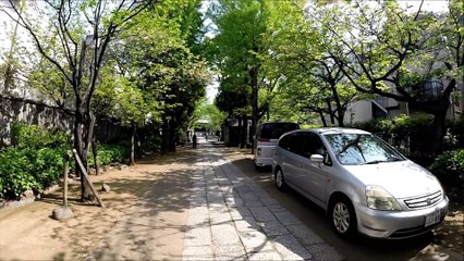 亀戸香取神社 亀戸 东京 / Kameido Katori-Shrine Kameido Tokyo / 카메이도 카토리 신사 카메이도 도쿄