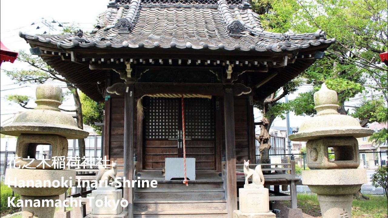 花之木稲荷神社 金町 东京 / Hananoki Inari-Shrine Kanamchi Tokyo / 花之木이나 리 신사 카나 마치 도쿄