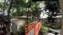 葛西神社 金町 东京 / Kasai Shrine Kanamchi Tokyo / 카사이 신사 카나 마치 도쿄
