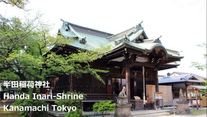 半田稲荷神社 金町 东京 / Handa Inari-Shrine Kanamachi Tokyo / 솔더이나 리 신사 카나 마치 도쿄