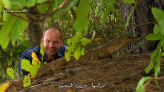 ‫وثائقي - الحاجز المرجاني العظيم (مترجم) HD‬‎