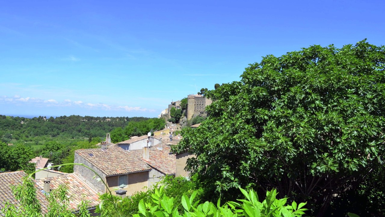 MAISON DE VILLAGE - MÉNERBES Vente en nue propriété - Emplacement d’exception