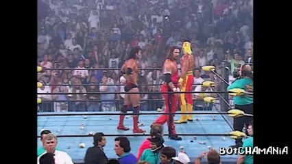 Only Fools Rush In (Wrestling Fans Interfering) Vol. 1