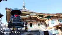 Shinshou-ji Temple Sugamo Tokyo / 真性寺 巣鸭 东京 / 스가 모 도쿄