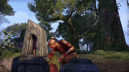 The Elder Scrolls Online : Tamriel Unlimited - Voici Elder Scrolls Online : Tamriel Unlimited