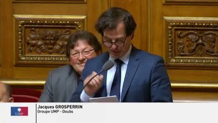 Réforme du Collège : " Vous supprimez les expérimentations pédagogiques qui ont montré leur efficacité... "