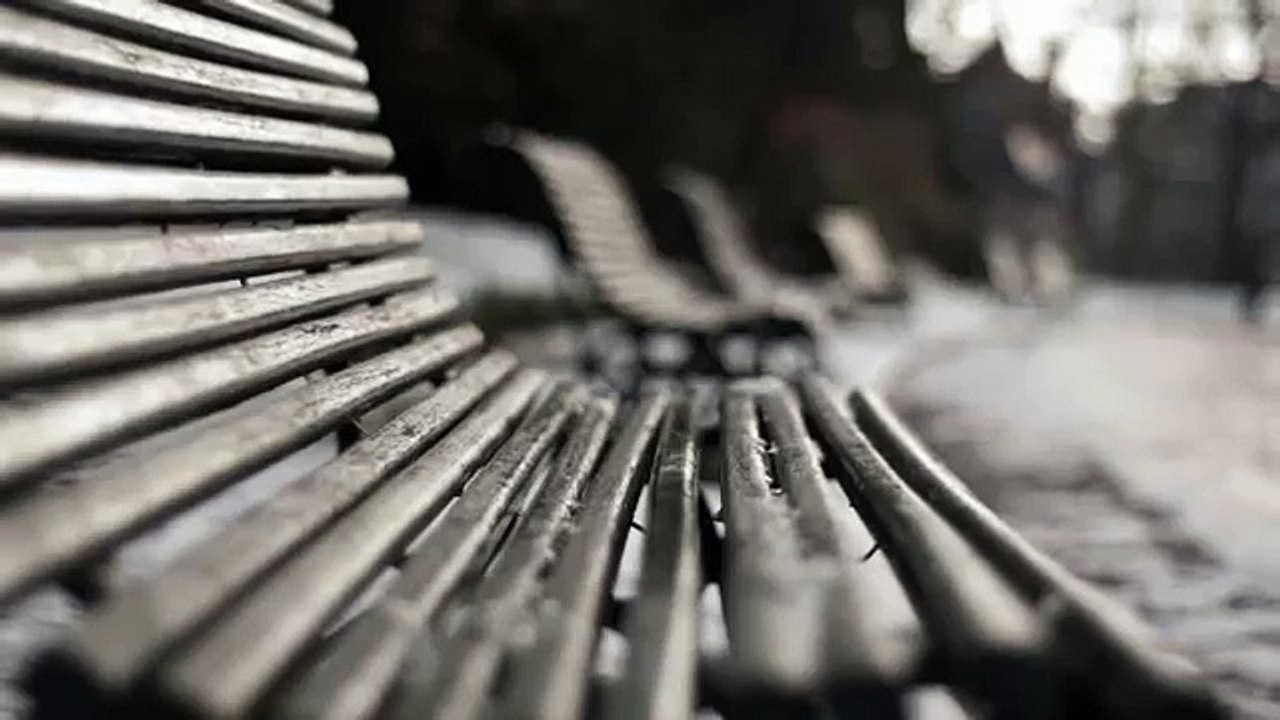 Jacques Higelin. Parc Montsouris (à mon père)