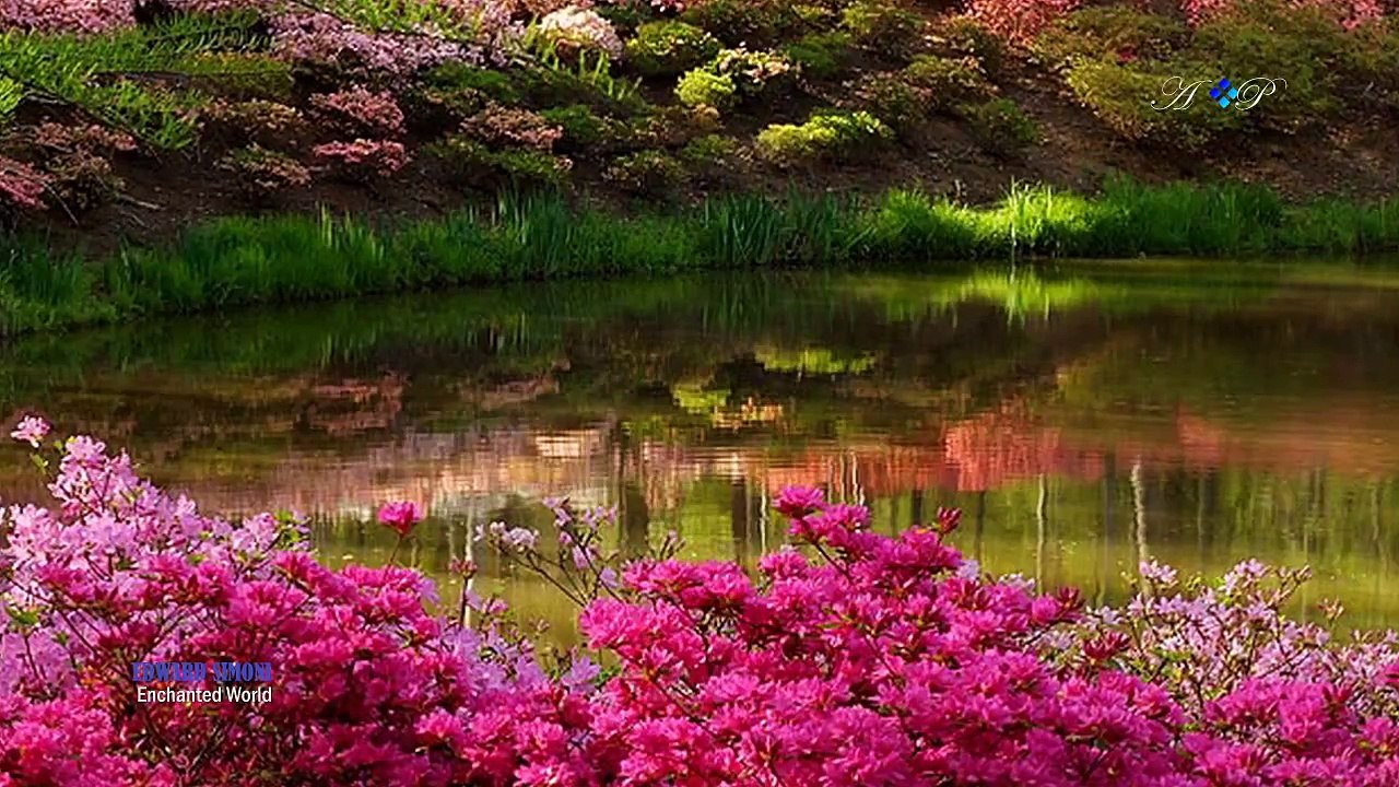 EDWARD SIMONI - Enchanted World (amazing pan flute music)