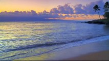 MAUAI Hawaii Keonenui Beach Sunset #68 Beaches Ocean Waves HD relaxing palm tree sounds video
