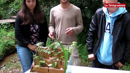 Plomelin (29). Foire de l'eau : au bonheur des enfants au lycée de Kerbernez