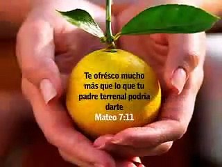 Carta de Amor del Padre: "Mi Hijo"