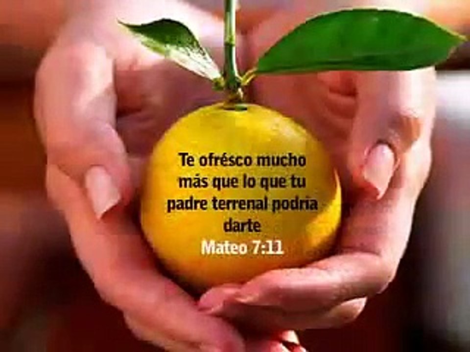 Carta de Amor del Padre: "Mi Hijo"