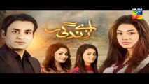 Aye Zindagi Episode 12 Full HUM TV Drama 28 May 2015