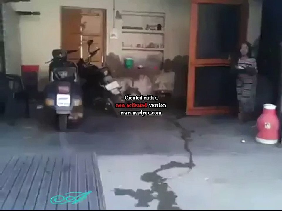 best funny video