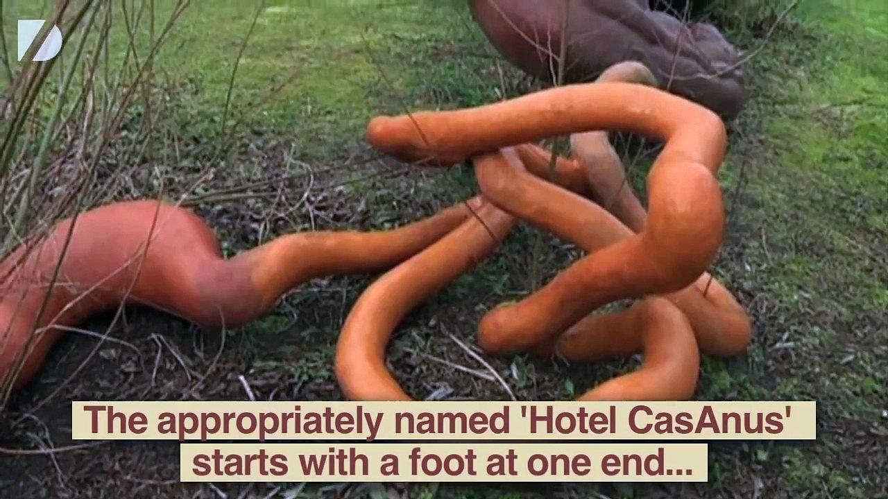 Anus Hotel