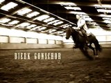 Horse - Westernreiten -Westerntraining - Dierk Gonschor