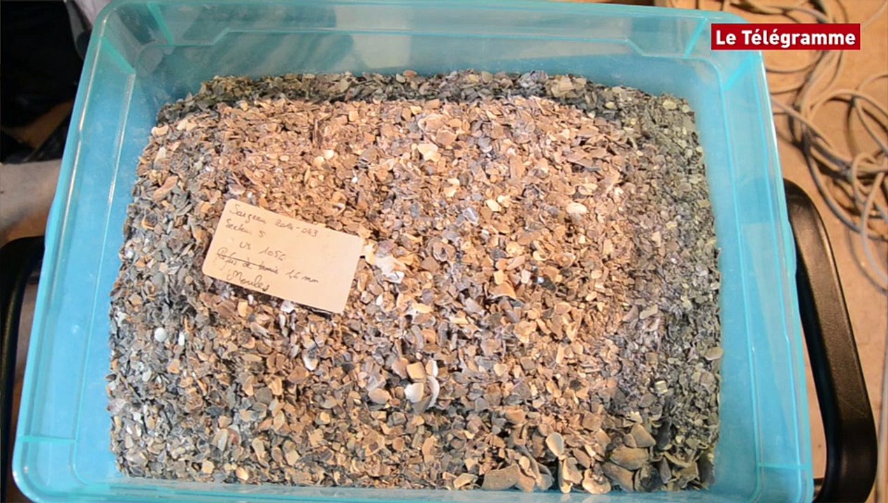 Sarzeau (56). Les poubelles de Suscinio parlent