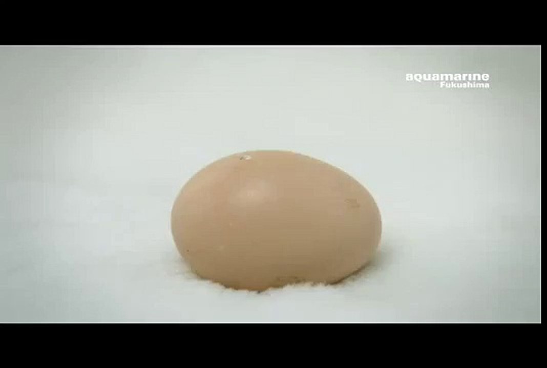 アクアマリンえっぐオープン.wmv