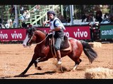 Cavalo Crioulo - Luiz Carlos Borges & Mauro Ferreira