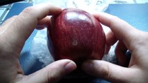 Cera en las Manzanas | Explicación