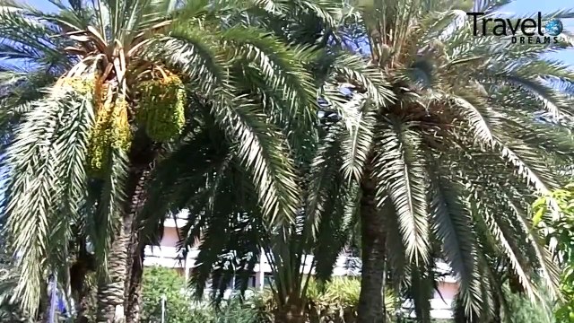 Gran Canaria - Playa del Ingles, Maspalomas, Amadores, Agaete, Las Palmas [HQ]