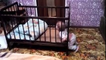 Funny Child coming doen from his bed