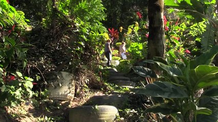 Paraíso verde escondido no Vidigal