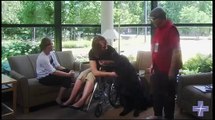Pooches Help Patients Speed Up Recovery