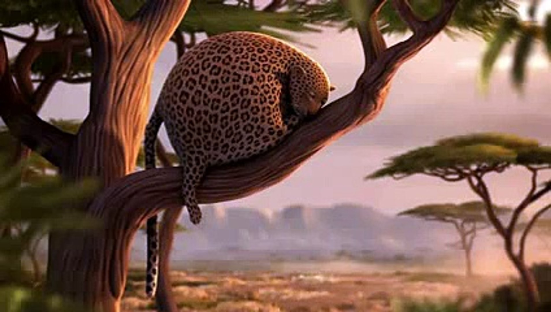 Funniest Animation