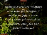 Gothic 2 : Die Nacht des Raben - Tipps für den Kampf