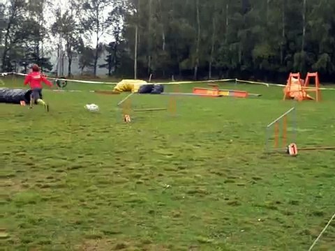 Agility Jack Russell - Babsi 9/08