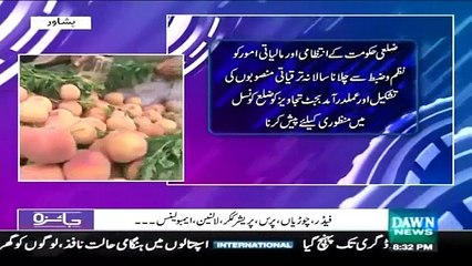 Local Bodies Election - Peshawar Main KIs Party ki Position Mazboot Hai- -