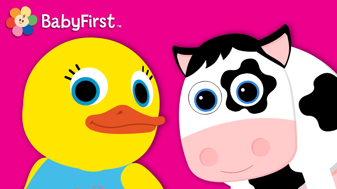 Tillie toc toc - Valentine la vache