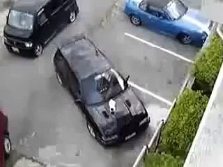 Cat Sleeping On Car Hood Get's A Surprise