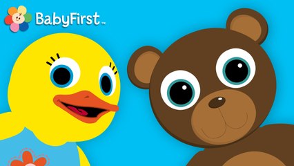 Tillie toc toc - Orion, l'ours