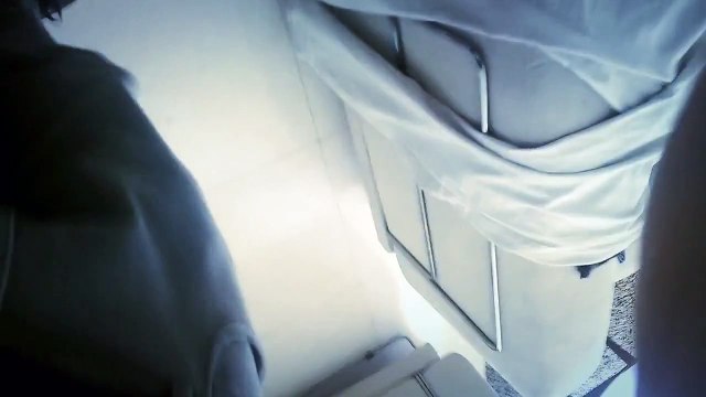 Le chat et le bruit d'un morceau de plastique